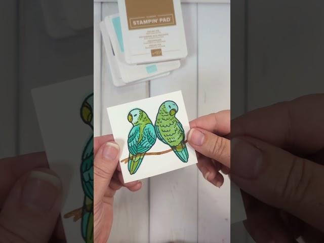 fun fold card with the Feathered Friends stamps from Stampin' Up!
