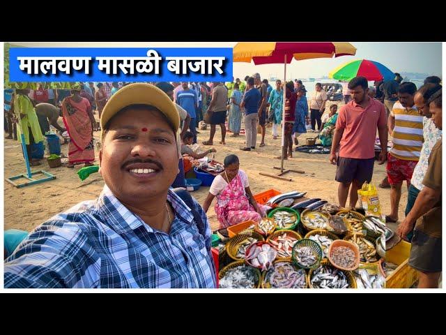 थंडीतला सकाळचा मालवण फिश मार्केट Malvan Fish Market | आम्ही घेतली सुरमई मुशी | S For Satish | Kokan