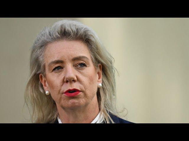 'Fruitful and productive': Coalition split paused