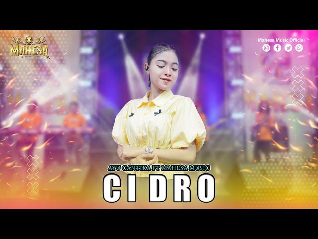 AYU CANTIKA - CIDRO I Mahesa Music