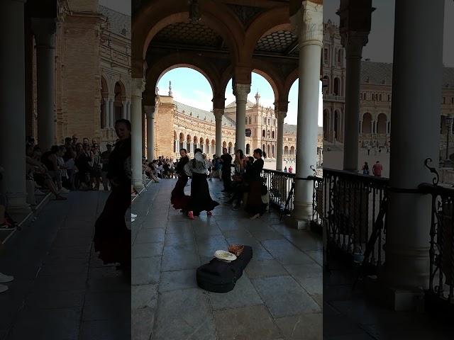 Flamenco in Seville #españa #sevilla #flamenco #travel #wonder #ritmo