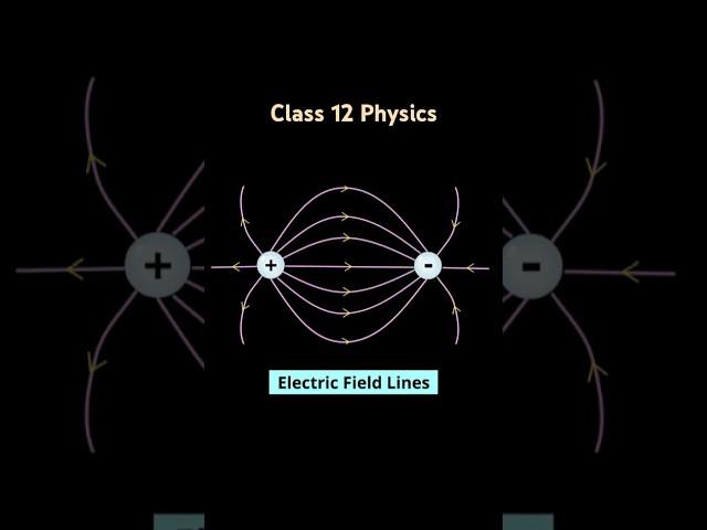 Electric Field Lines Between Two Opposite Charges Explained! | Class 12 Physics