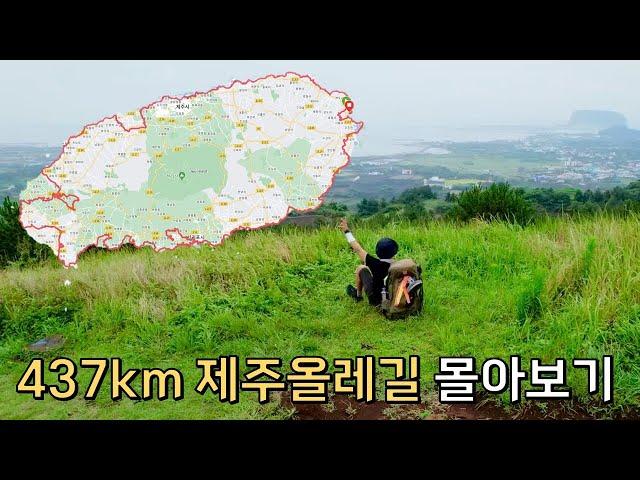 [올레길 몰아보기]437km, 한여름의 제주올레길