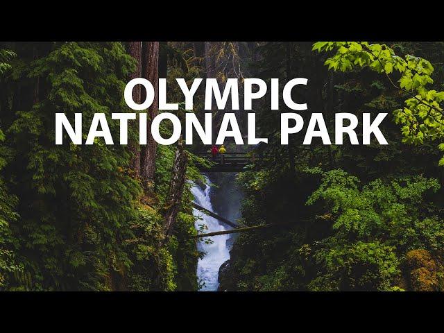 OLYMPIC NATIONAL PARK IN ONE WEEKEND | The Lovers Passport