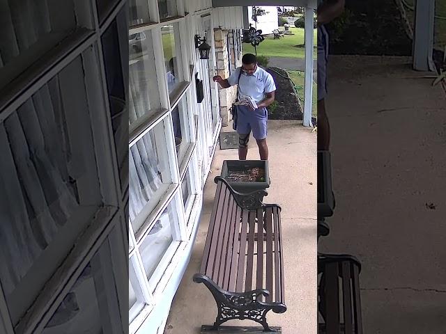 The SHOCKING Reason This Mailman Became a Feline Icon!