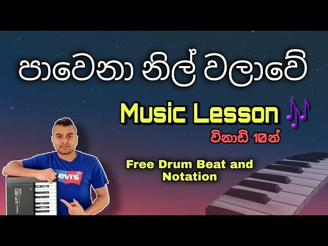 පාවෙනා නිල් වලාවේ(Pawena Nil Walawe) - Learn to Play 11 | Music Lesson in Sinhala