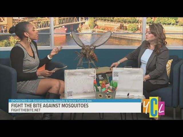 Fight the bite against mosquitoes | Sponsored