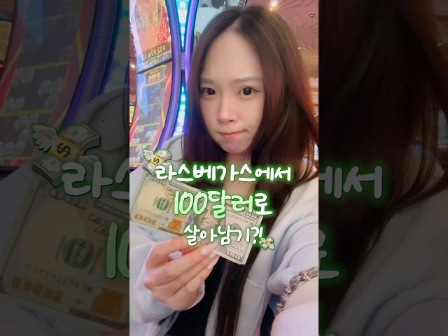 라스베가스 물가 비싸다 vs 안비싼데?;