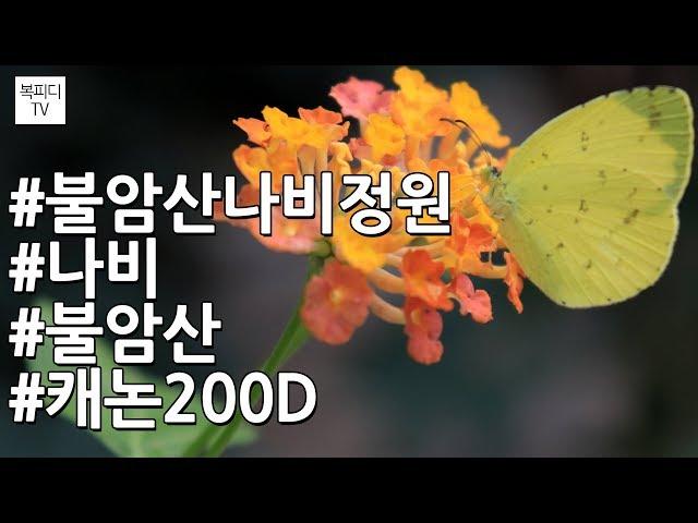 불암산나비정원(상계역,주말나들이,캐논200D,복피디TV)