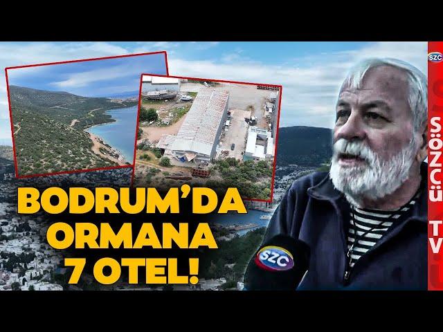 Ne Mavisi Kaldı Ne Yeşili! Bodrum'da Ormana 7 Otel! Kıyı İşgalleri, Kaçak İskeleler...