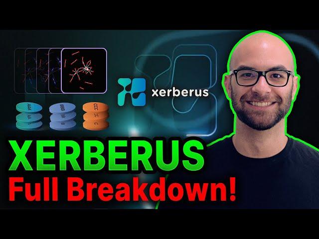 Xerberus: The Upcoming Cardano Crypto Asset & Risk Management Protocol – Everything You Need to Know