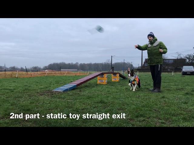 Dogwalk - position A MM & toy straight exit
