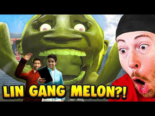 WHAT IS LIN GANG MELON?! (Funny Memes)