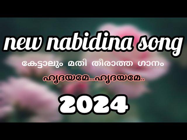 New nabidina song 2024   ll now trending song ll #song #video #trending #subscribe #favorite #love