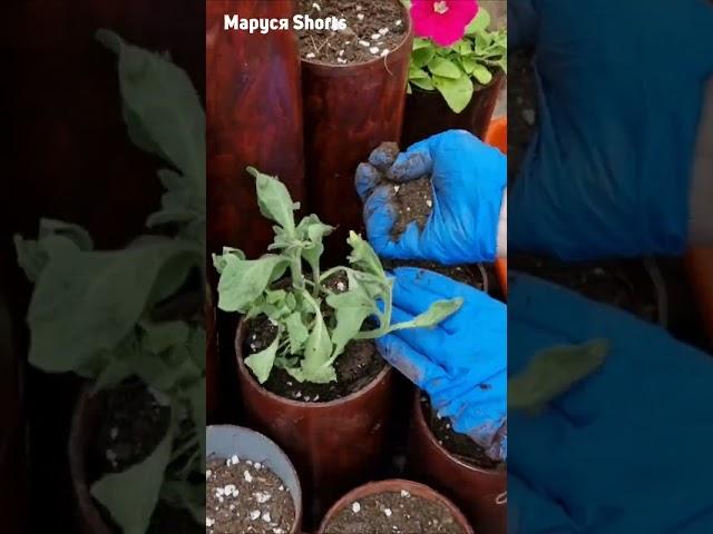 МУЖ В ШОКЕ ДЕЛАЮ КЛАССНЫЕ ВЕЩИ ИЗ МУСОРА@-MarusyaShorts-