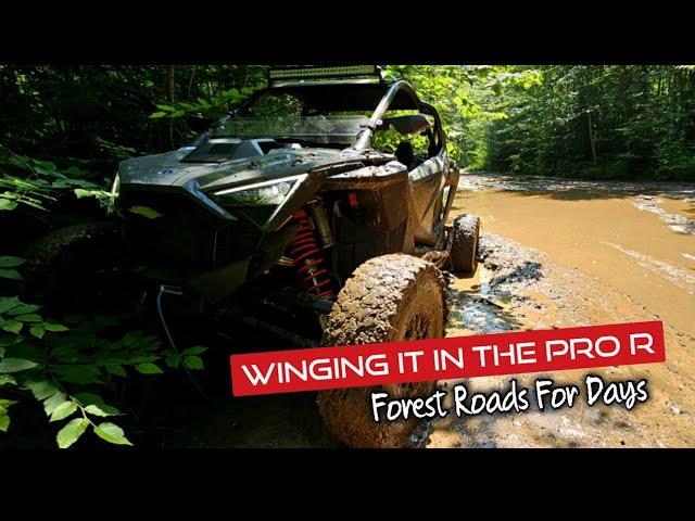 Pro R Exploring Forest Roads. Pro R/Let Er Rip SXS/ Pro R Mudding