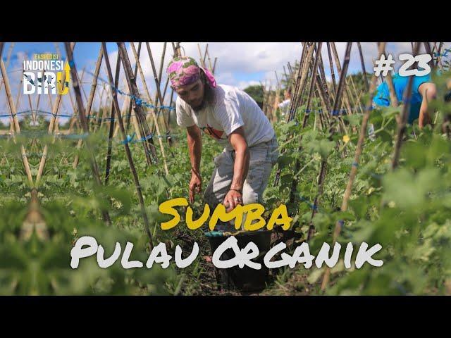 SUMBA PULAU ORGANIK - Ekspedisi Indonesia Biru #23