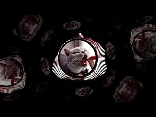 Lil Bagel - alone | prod. Marge