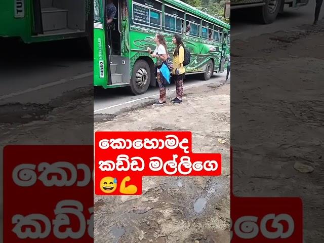 මිලියන 3.23  බලපු  Amazing cunducterin privet bus වෝටr ෆෝල්ස් කිව්වා නැග්ගා #conductor#funny