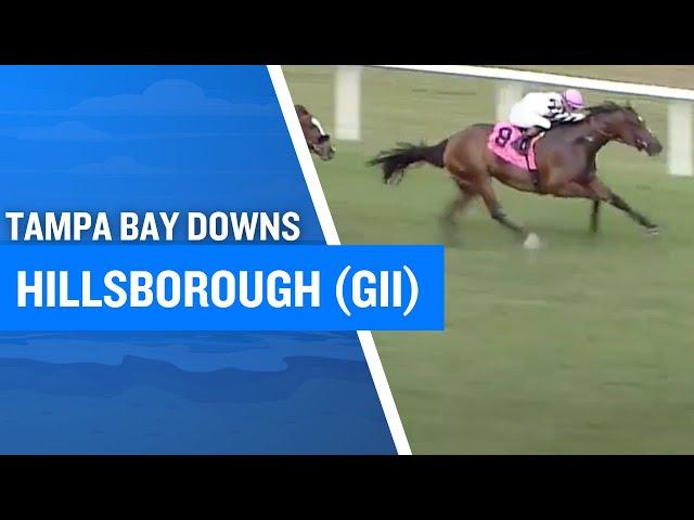 2025 $225,000 Hillsborough Stakes (G2) at Tampa Bay Downs