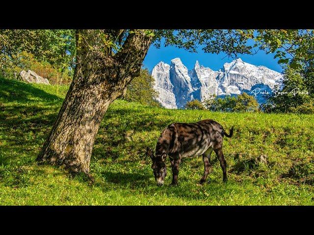 Soglio - Val Bregaglia