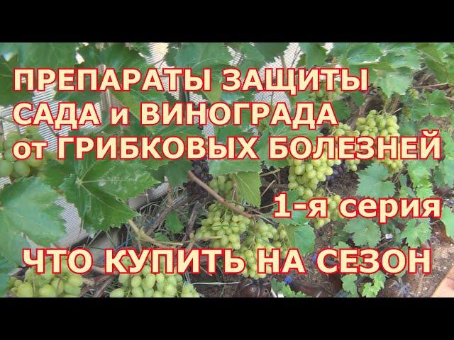 1-я серия. ПРЕПАРАТЫ ЗАЩИТЫ САДА и ВИНОГРАДА  от БОЛЕЗНЕЙ. ЧТО КУПИТЬ НА СЕЗОН.