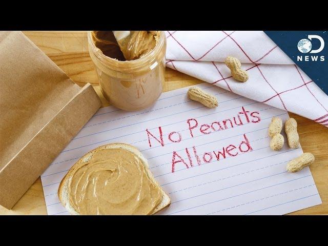 Why Are Peanut Allergies Becoming So Common?