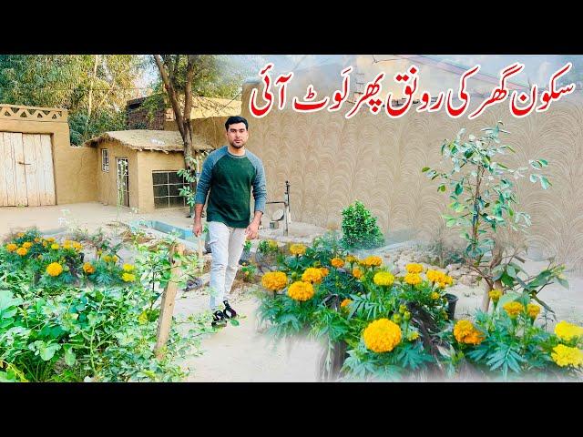 Sakoon Ghar Ki Ronaq loat Aye | Punjab Village lifestyle | Shoaib Maharzada