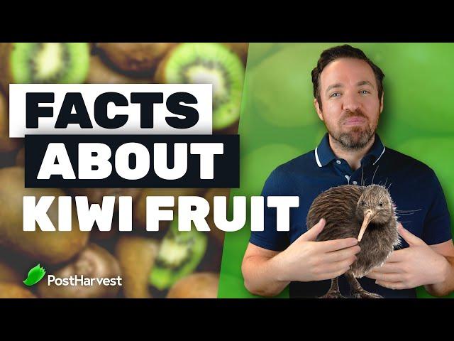 Top 7 Facts About Kiwi Fruit