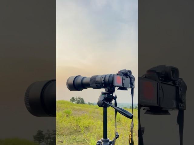 150-600 mm lens photography  #shorts #photography #ytshorts