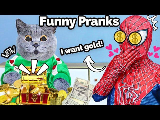 Must Try Oscar's BEST FUNNY Challenges! | Oscar‘s Funny World | New Funny Cat Videos 2023