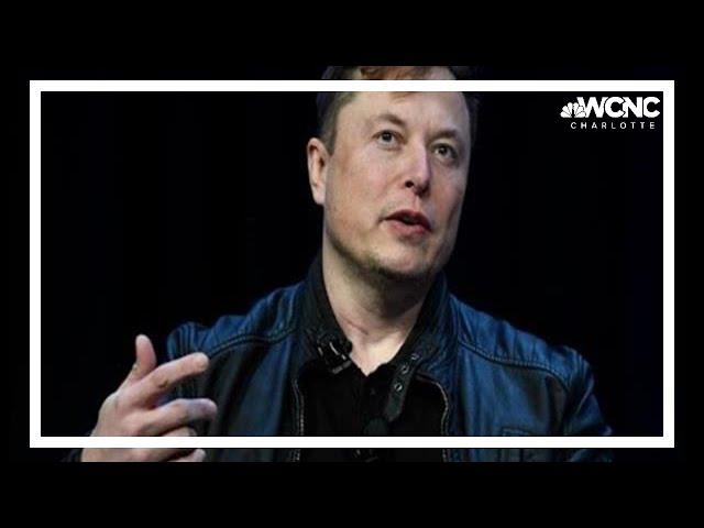 Deepfake crypto scam uses Elon Musk to target investors