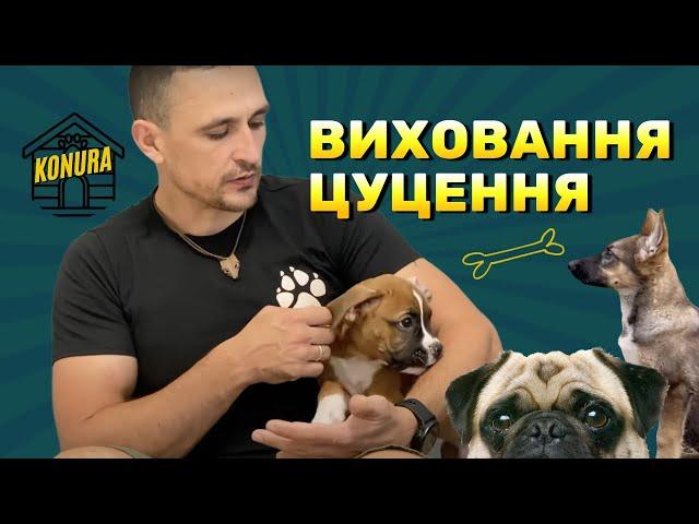 Виховання цуценя) обовʼязково к перегляду