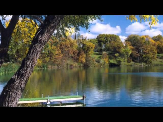 Alexandria Lakes, MN Real Estate