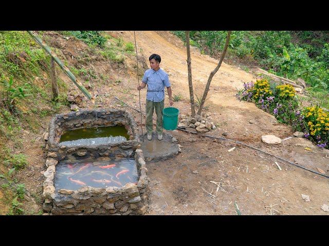 Aquarium and Water Tank. The Perfect Combination of Nature Ep2 | Living Off the Grid