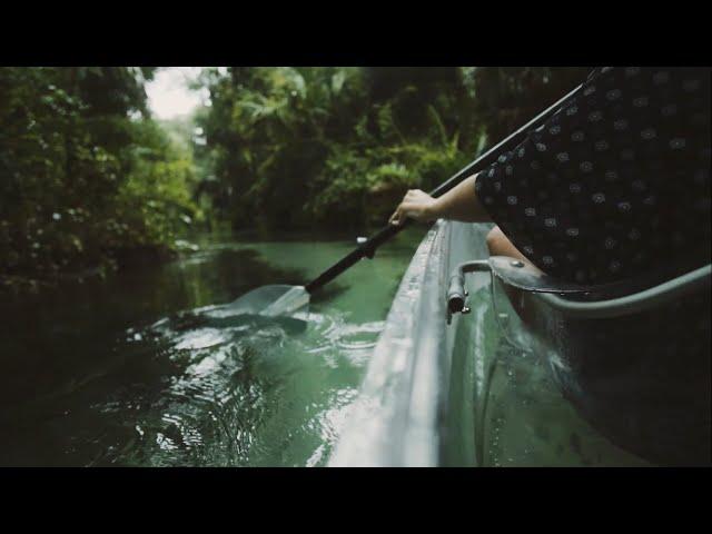 Clear Kayak Tours - Central Florida (Get Up And Go Kayaking)