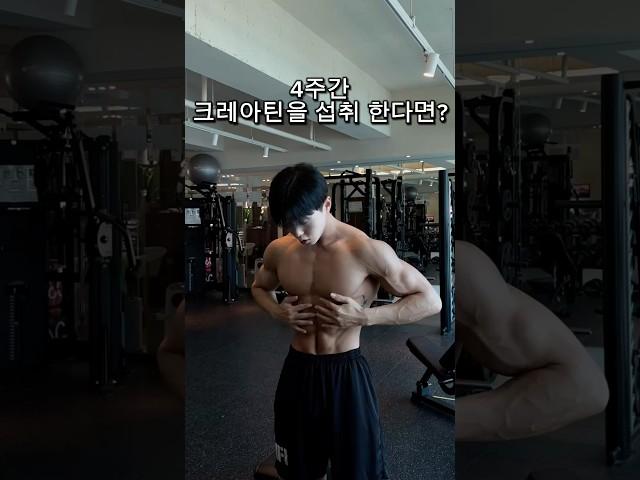 매일 4주간 크레아틴을 섭취했을때 효과
