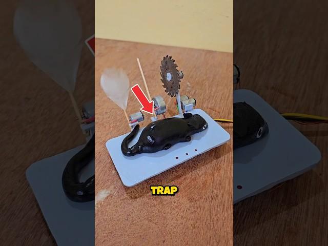 Sussy rubber mousetrap