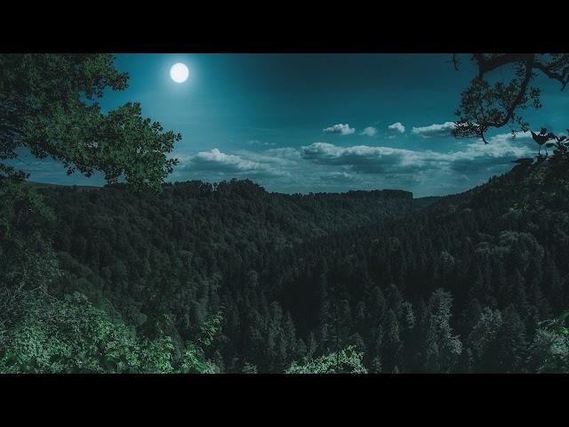  Suono rilassante della foresta di notte con la pioggia e gufi aiuto per dormire relax ASMR zen