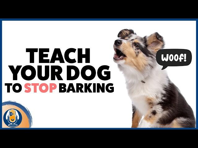 Barking Dogs Fix! Complete Guide To Stop Any Dog's Nuisance Bark