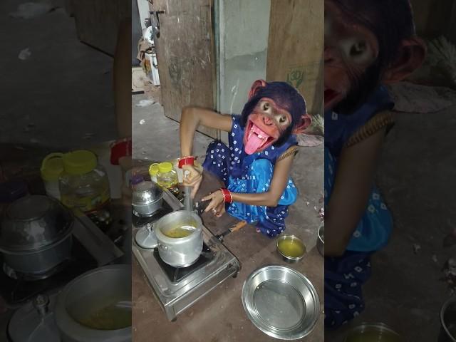 Bandar mama pahan pajama