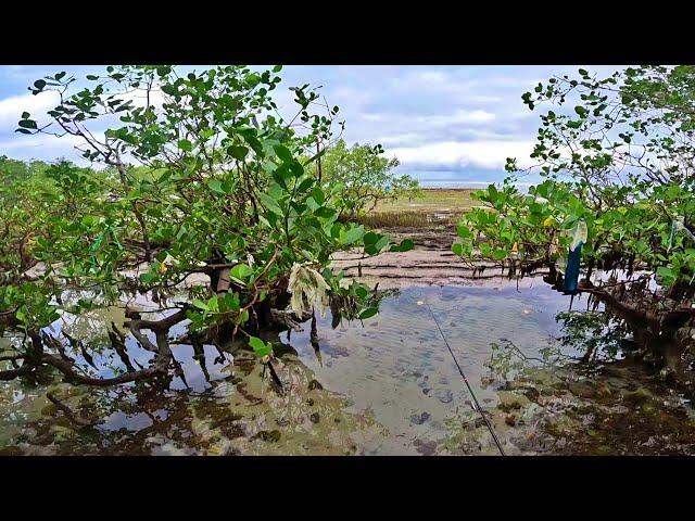 Spot that Never Fail | Ultralight Fishing in the Philippines