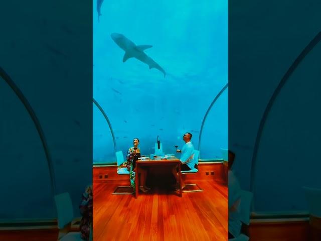 Restaurants on earth that don't look real |Dubai underwater restaurant |#dubai #italy |Travel World