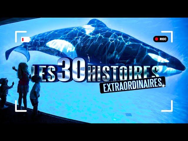 30 NOUVELLES histoires EXTRAORDINAIRES !  À voir absolument ! - PE032010