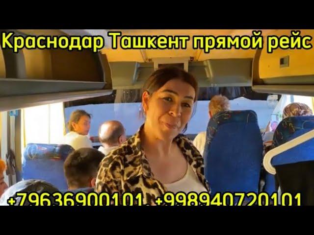 Krasnodar Tashkent  avtobus#краснодар Ташкент автобус прямой рейс￼ Краснодар Ташкент прямой рейс