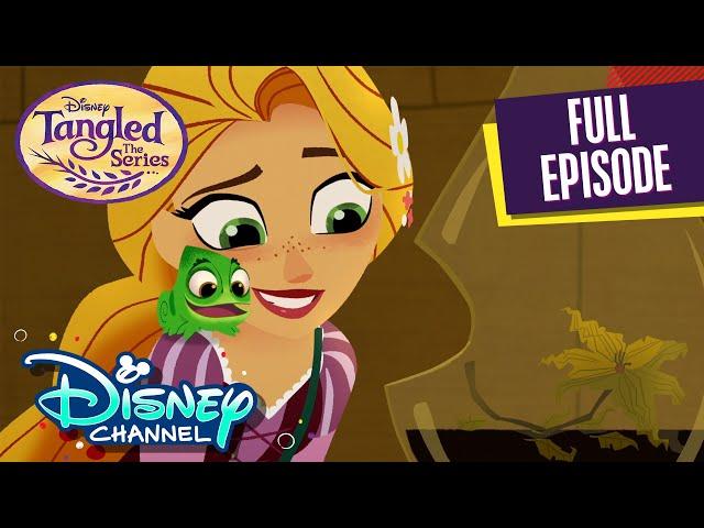 The Alchemist Returns | S1 E21 | Full Episode | Tangled: The Series | Disney Channel Animation