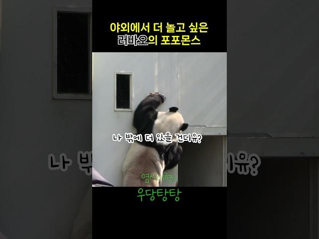 야외에서 더 놀고 싶은 러바오의 포포몬스