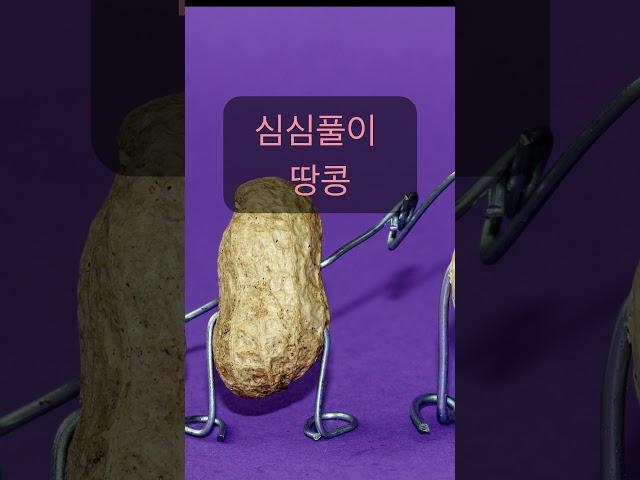 하루 해에 꼭 한 번씩 해보는 심심풀이 땅콩, 하루해