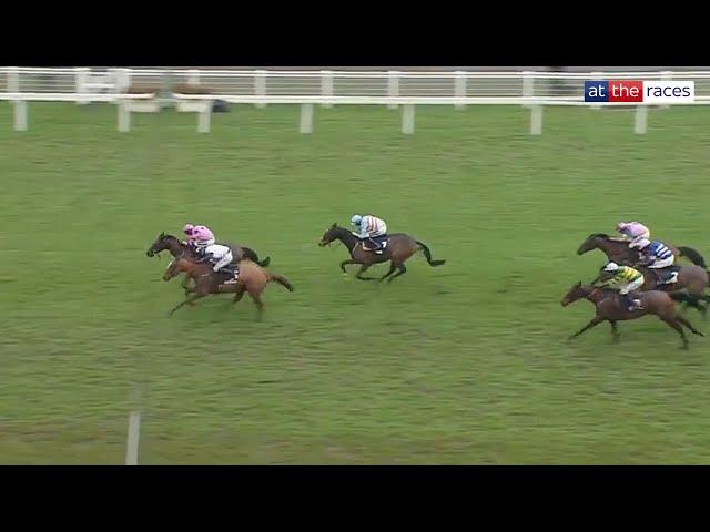 CRAMBO does it again in the Long Walk Hurdle at Ascot!