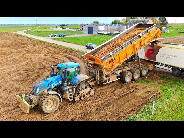 Overloading potatoes | New Holland T8.435 Smarttrax + Dezeure Transmax TurboCleaner | High Discharge